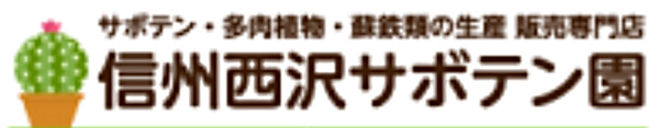 西沢サボテン