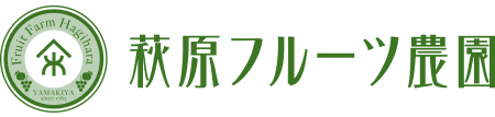 HFF