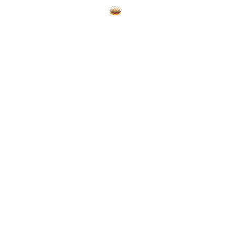 johncheeseburgerfotogenter_gif